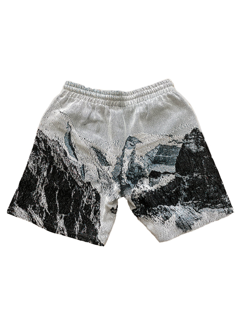 MOUNTAIN RANGE - Tapestry Shorts